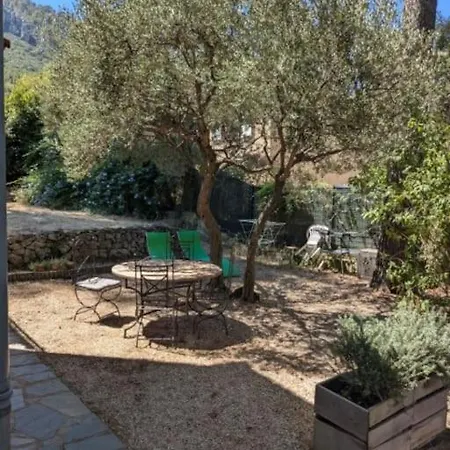 T1 De 30 M2 En Rez De Apartamento