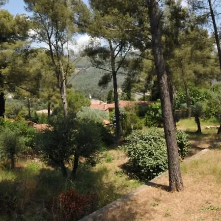 T1 De 30 M2 En Rez De Apartamento *