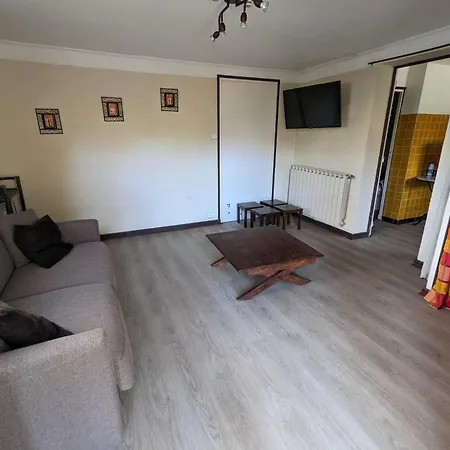 Appartement T1 De 30 M2 En Rez De *