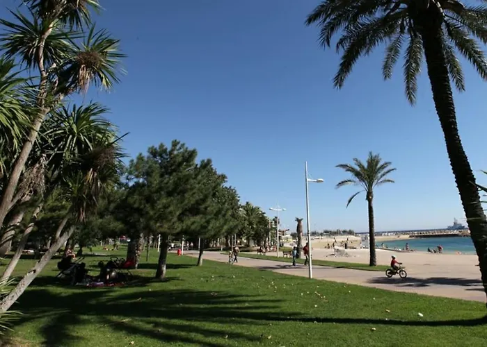 T1 De 30 M2 En Rez De * Toulon